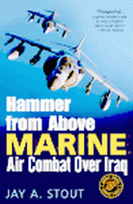 Hammer from Above book cover