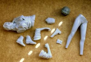 1/9 scale tank girl kit parts